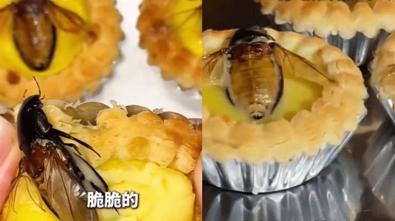 嘎嘣脆！男自製「水蟑螂蛋塔」引熱議