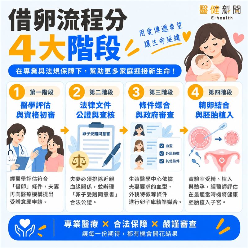 憂借卵程序複雜?借卵流程分「4大階段」。(圖/醫健新聞網提供)