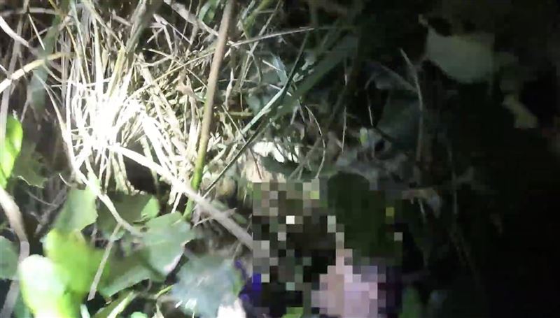 嫌犯躲在草叢中。（圖／海巡署新竹查緝隊提供）