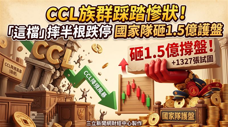 「這檔」摔半根跌停　國家隊砸1.5億護盤