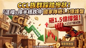 「這檔」摔半根跌停　國家隊砸1.5億護盤