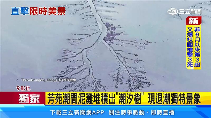 芳苑潮間帶退潮後,泥灘上水道交錯成樹枝狀紋路,吸引空拍玩家特地捕捉奇景,宛如大自然的藝術畫作