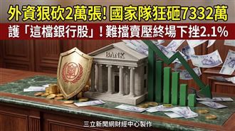 淪外資提款機！國家隊7332萬救「這檔」