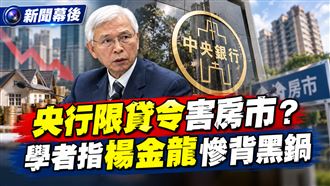 央行限貸令害房市？學者指楊金龍慘背黑鍋