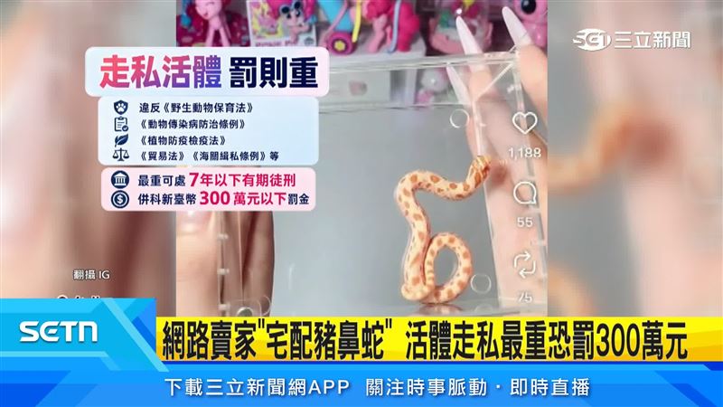走私活體最重可處以7年以下有期徒刑,併科三百萬元以下罰金。(圖/翻攝自IG)