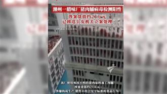 太噁！死因不明豬肉竟製成肉乾　驗出病毒