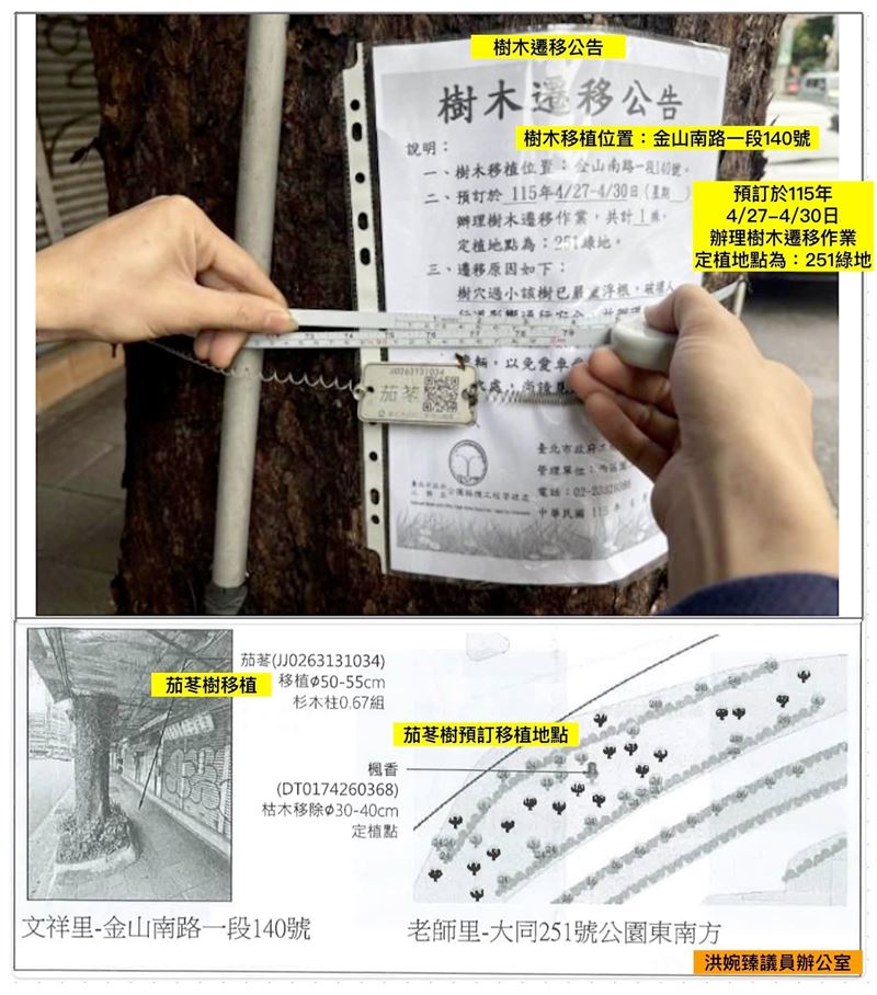 東門市場附近有一棵原本樹冠茂密的「茄苳樹」被整棵放倒，洪婉臻向北市府查詢，公園處稱4月23日會勘決定「移植」，然而廠商「誤將樹木移除」。（圖／翻攝自洪婉臻臉書）