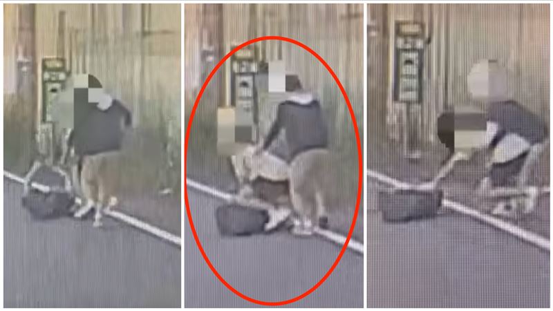 羅男追著吳姓代駕毆打,吳男倒地後腦撞擊地面,搶救4天不治。(圖/翻攝畫面)