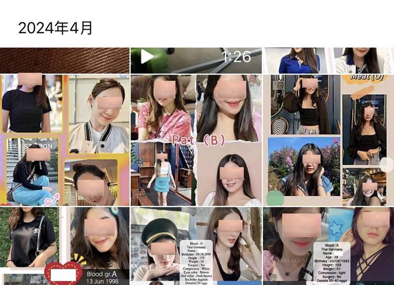集團提供各國籍、族裔孕母照片及年籍相關資料供客戶選擇。(圖/翻攝畫面)