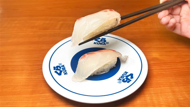 日本愛媛縣特產的「蜜柑鯛」與「蜜柑鰤」,正是利用蜜柑果皮中的「檸檬烯(limonene)」成分調配飼料,不僅大幅降低養殖魚特有的腥味,更讓魚肉自帶一股淡雅的柑橘清香。(圖/藏壽司提供)