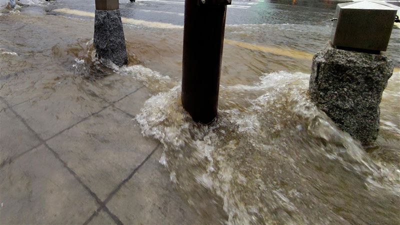 颱風雨襲鎌倉　站前成泥河路人跌倒難站起