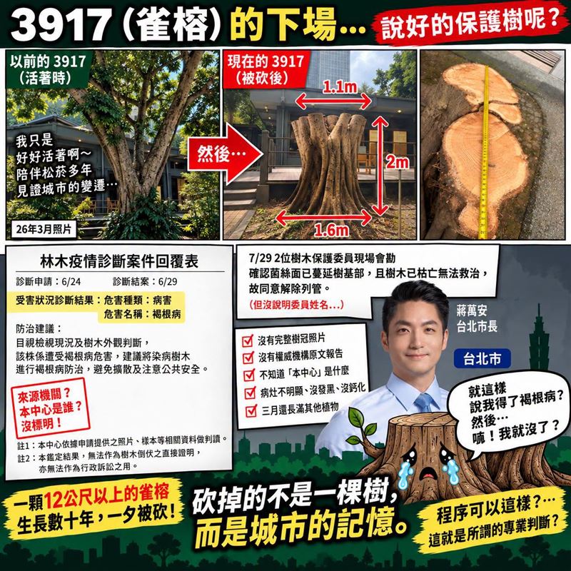 矢板明夫揭露,北市2024至2025年間砍伐近4600棵樹,數量呈現倍數成長,其中松菸旁編號3917號的受保護雀榕,更在程序疑雲下火速遭砍。(圖/翻攝自「矢板明夫俱樂部」臉書)