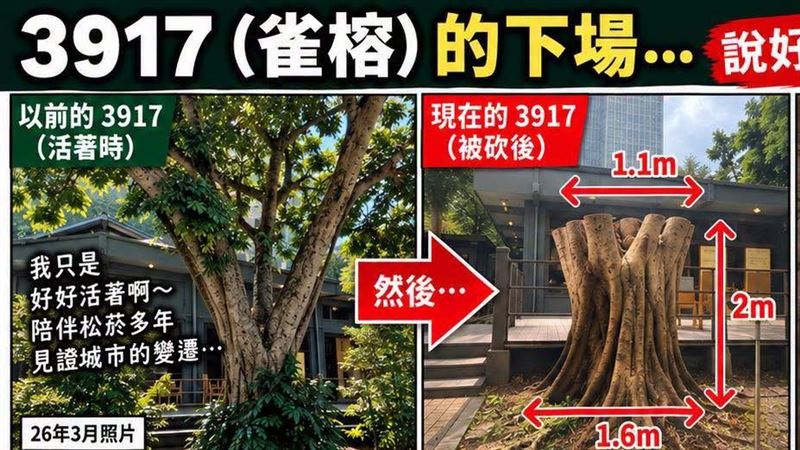 列保護名單照砍！蔣市府遭揪疑點