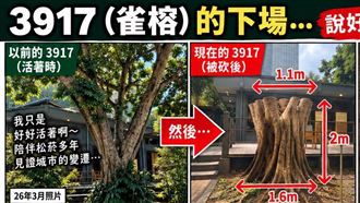 列保護名單照砍！蔣市府遭揪疑點