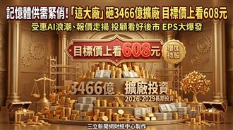 記憶體供需緊俏　這大廠目標價上看608元
