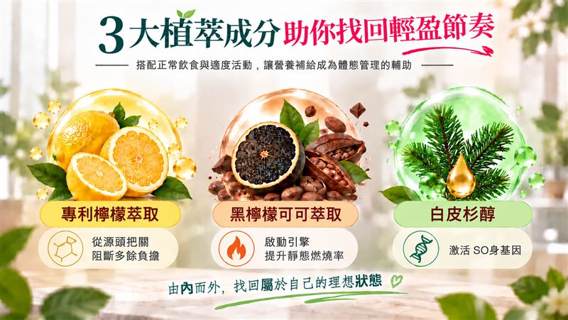 炸雞手搖沒戒!謝京穎曬產後驚人對比 親揭「不挨餓」體態管理法。(圖/業者提供)