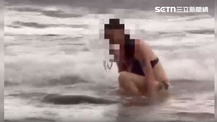 德籍女小琉球遇海龜「摸一摸」 恐罰6萬起