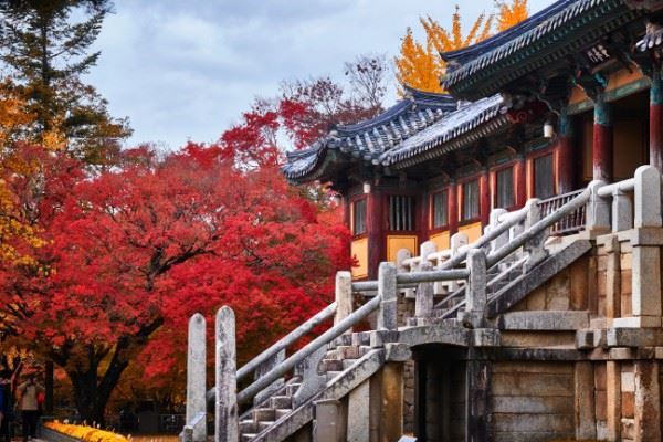 走訪世界文化遺產佛國寺,感受最具歷史韻味的秋日景緻。(圖/飯店旅宿業者提供)