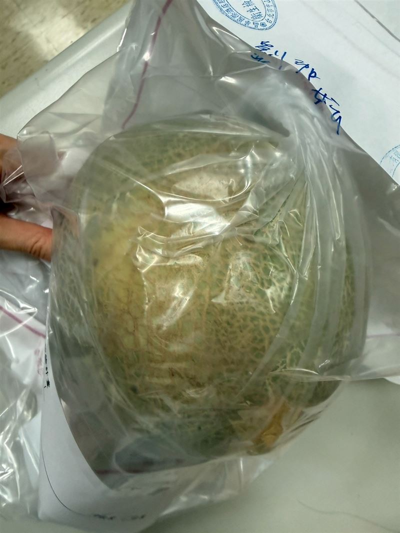 晶華國際酒店股份有限公司的「洋香瓜」驗出農藥違規。(圖/北市衛生局提供)