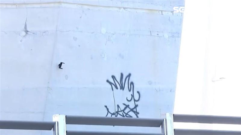 淡江大橋遭2名屁孩噴漆塗鴉,警方調閱監視器,循線逮捕19歲殷姓男子、21歲彭姓男子到案,全案依法偵辦。(圖/翻攝畫面)