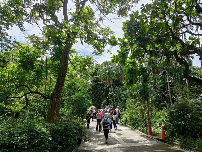 農業部林業試驗所攜手台北市立聯合醫院失智症中心、亞東紀念醫院,即日起至12月31日推出「植物園處方:紓壓好眠地圖」。(圖/農業部林業試驗所提供)