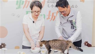 萌貓當評審！莊競程邀蕭美琴手作寵物月餅
