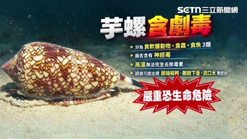 芋螺分為3類但通通具有神經毒素,相當危險