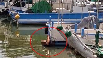 男墜海…死命抓船邊緣「頭浮水面」畫面曝