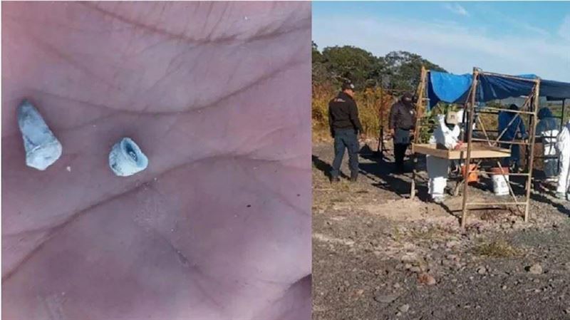 亂葬崗挖出1600顆乳牙 志工控販童虐殺