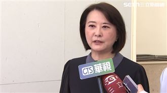 《貍貓換太子》喊卡 王鴻薇:侮辱選民智商