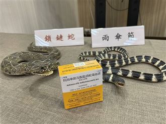 南投年抓3千條毒蛇　卻獨缺「1血清」救命