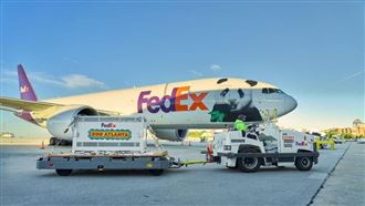 川習會成果之一  中國2隻大貓熊抵達美國