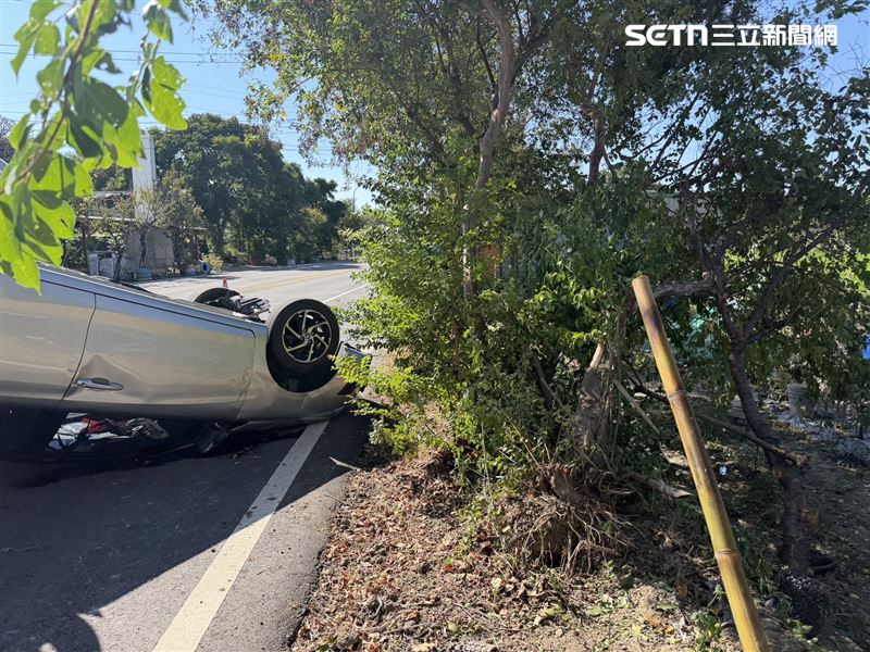 苗栗縣一對黃昏戀情侶開車出遊,67歲女駕駛返程途中恍神,自撞路樹翻車。(圖/翻攝畫面)
