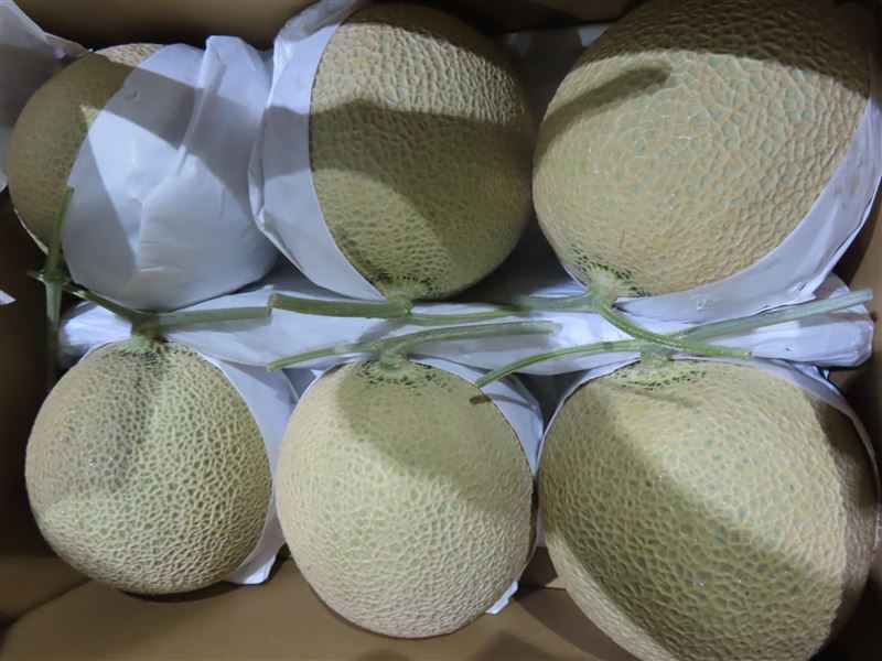 洋珍國際有限公司進口的日本哈密瓜,驗出農藥殘留超標。(圖/食藥署提供)