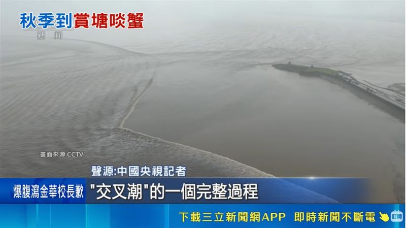 中國官媒直擊錢塘江大潮變幻景致。(圖/CCTV)