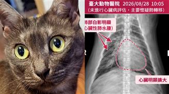 台大動物醫院爆疏失！飼主控2事怒檢舉