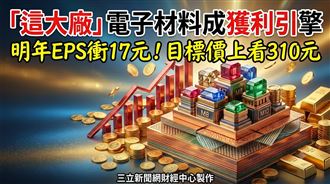 南亞明年EPS衝17元　目標價上看310元！