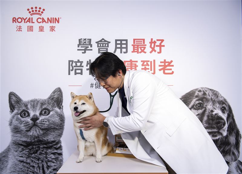 興沛動物醫院許傳忠院長指出：「定期健檢不只是為了找出疾病，更是為了及早建立專屬的健康基準」。（圖／法國皇家提供）