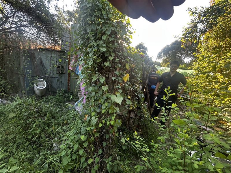 農場路一處雜草地發現一具乾屍。(圖/翻攝畫面)