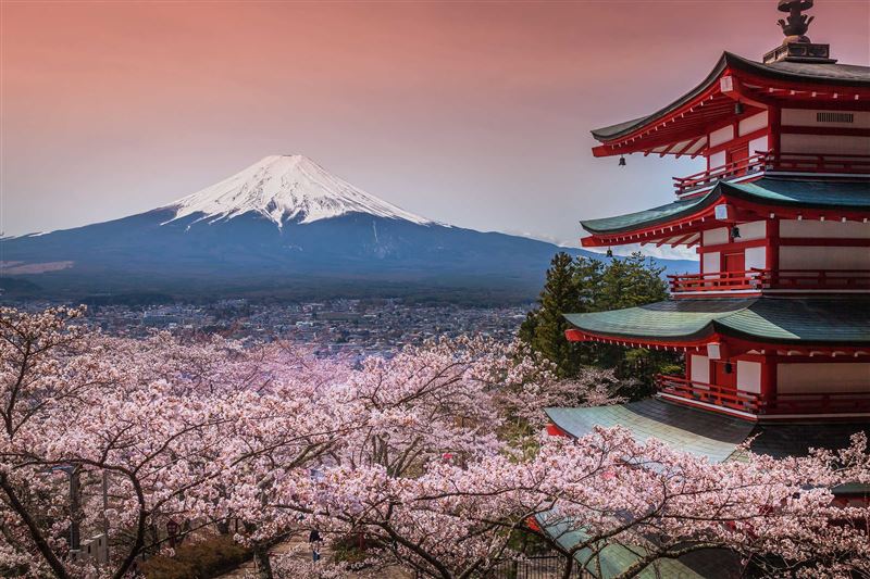 雄獅X長榮航空機票一口價限時搶購，東京來回機票只要5,888元，讓旅客提早卡位賞櫻觀光行程。（圖／旅宿業者提供）