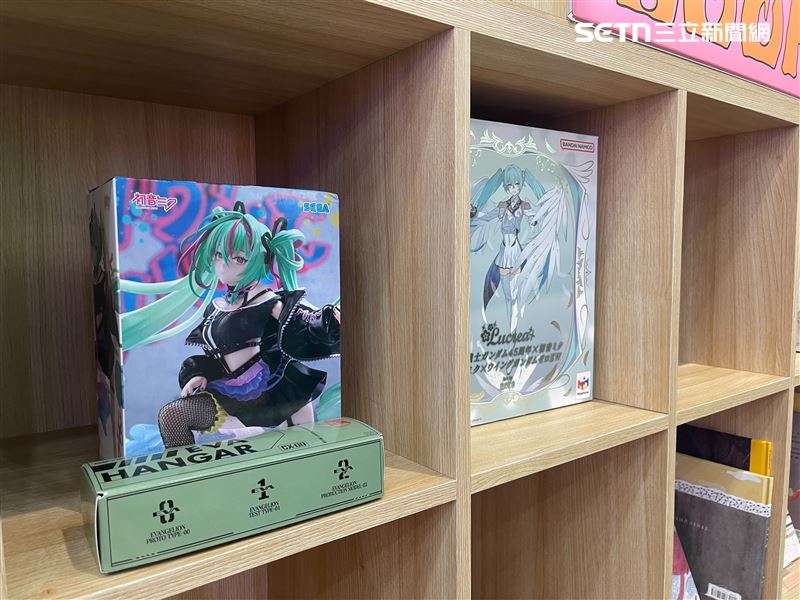 沈伯洋競選總部內也有許多初音未來周邊,可見他對動漫文化的喜愛。(圖/記者楊士誼攝影)