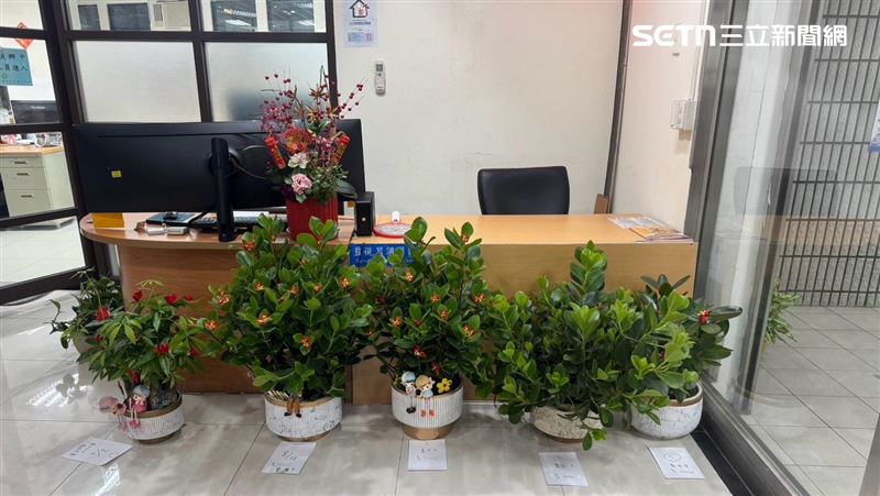 北市花店5盆栽突失蹤　女賊行竊原因曝光