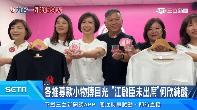 何欣純公開第二波競選小物