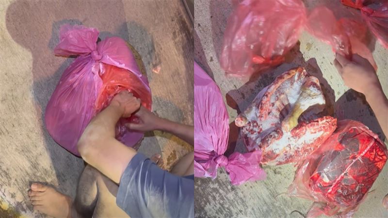 中秋吃狗肉？新竹查獲7公斤屠體