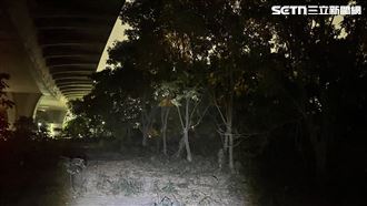 台74傳命案！男跳車墜橋慘死…母崩潰報警
