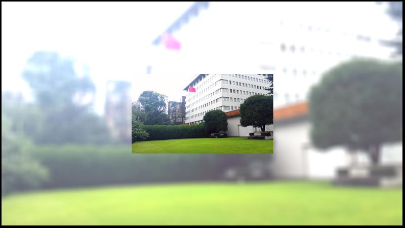持刀闖中使館　前自衛官稱想糾正中方外交