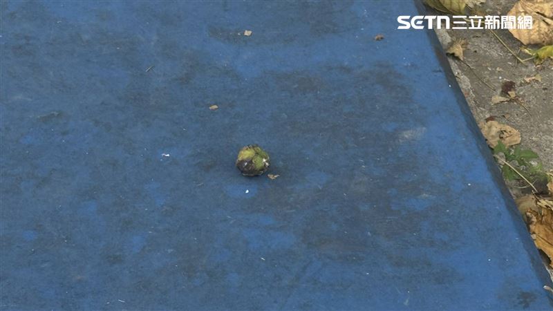 北市華興高中14名學生誤食油桐子送醫救治。(圖/翻攝畫面)