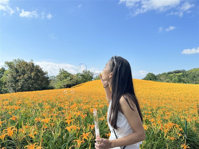 福容花蓮店-花蓮金針花季現正綻放中!秋季住房搭配國旅補助及地方加碼，最高可享5,200元優惠。（圖／飯店旅宿業者提供）