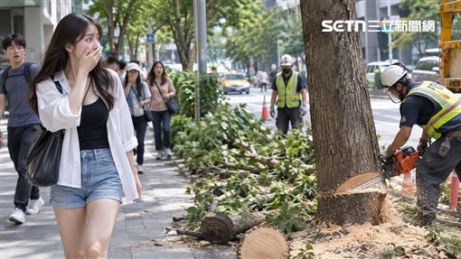 中央立法砍樹？國土署：是不能擋駕駛視線