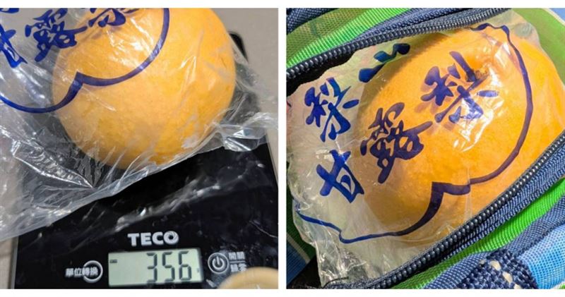 台南國小營養午餐水果直接發一整顆甘露梨,實測重達356公克,讓家長相當驚訝。(圖/翻攝自Threads,網友cafetrister 授權提供)